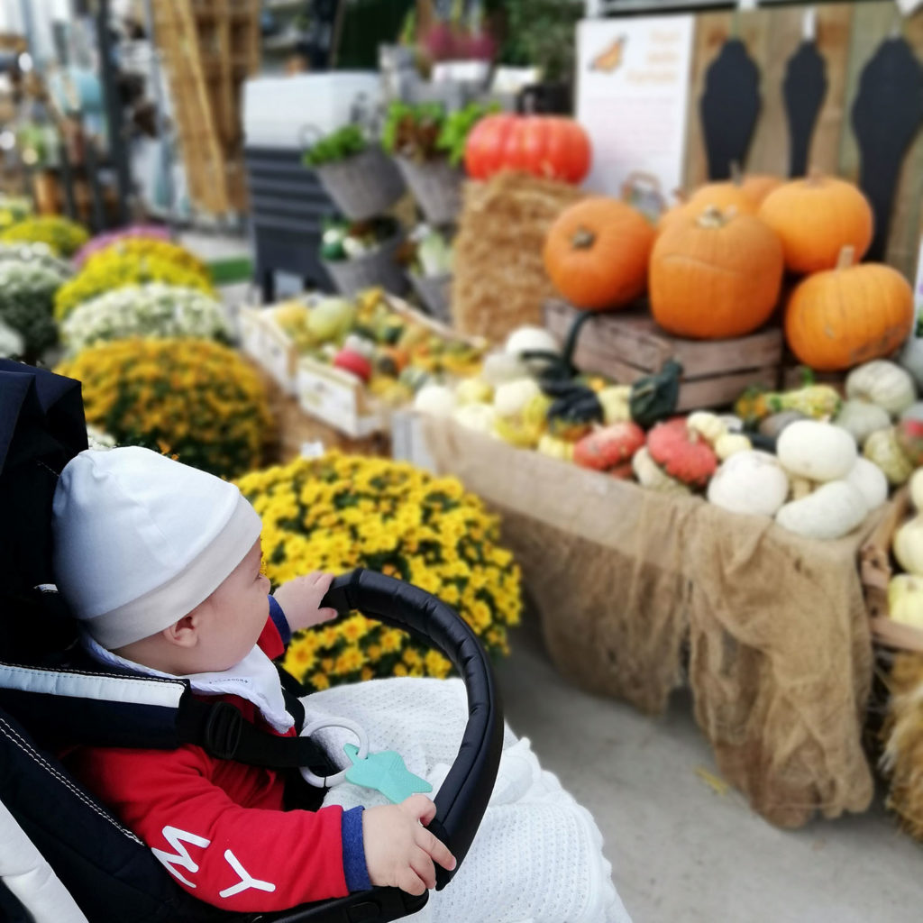 Cioppis Halloween garden cavinato