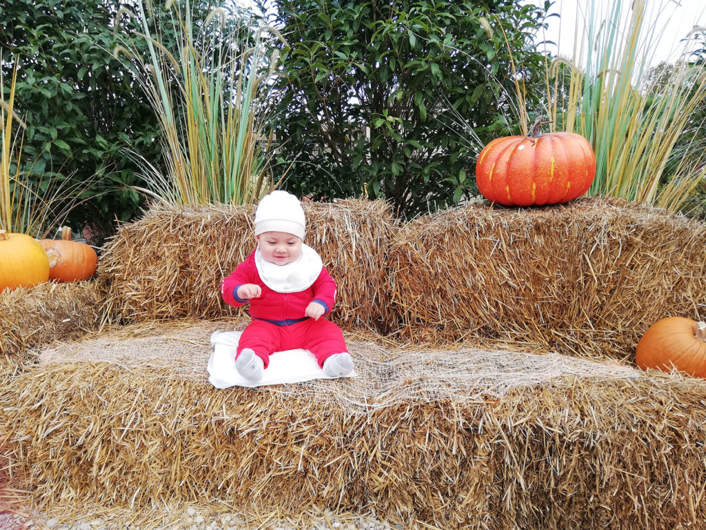 Cioppis Halloween garden cavinato