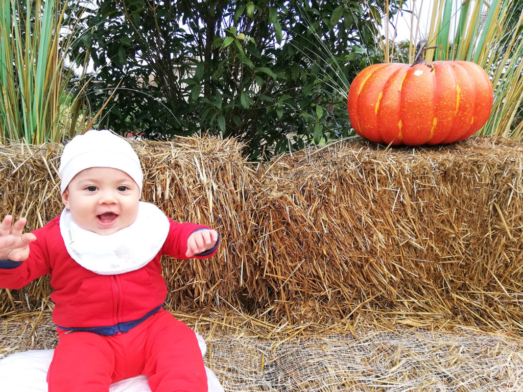 Cioppis Halloween garden cavinato